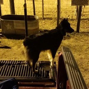 Meet your Posher, Justin